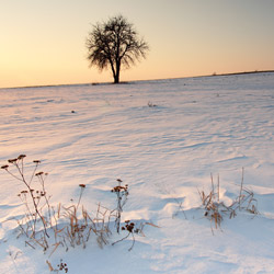 Roztocze Środkowe