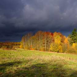 Roztocze Środkowe