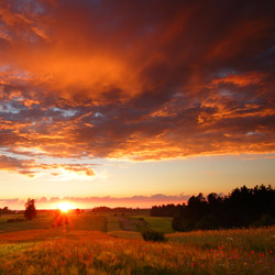 Western Roztocze, Szczebrzeszyn Landscape Park