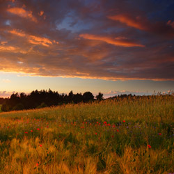 Western Roztocze, Szczebrzeszyn Landscape Park