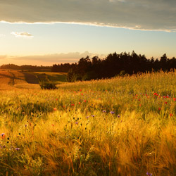 Roztocze Zachodnie, Szczebrzeszyński Park Krajobrazowy