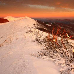 Bieszczady Zachodnie, Bieszczadzki Park Narodowy