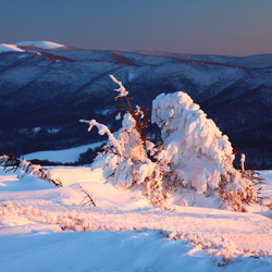 Biszczady Zachodnie, Bieszczadzki Park Narodowy