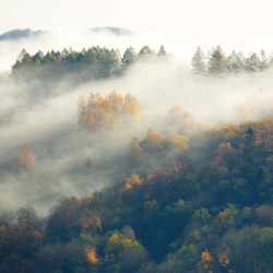 Ciśniańsko-Wetliński Park Krajobrazowy, Bieszczady Zachodnie