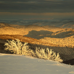 Bieszczady Zachodnie, Bieszczadzki Park Narodowy