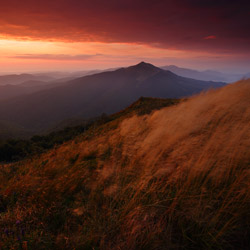 Bieszczady Zachodnie, Bieszczadzki Park Narodowy