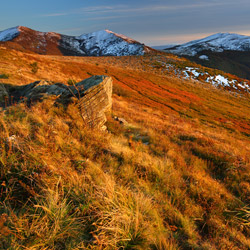 Bieszczady Zachodnie, Bieszczadzki Park Narodowy