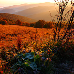 Bieszczady Zachodnie, Bieszczadzki Park Narodowy