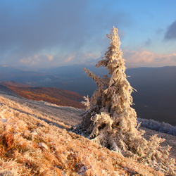 Western Bieszczady, Bieszczady National Park