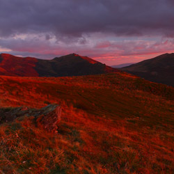 Bieszczady Zachodnie, Bieszczadzki Park Narodowy