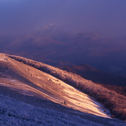 Bieszczady Zachodnie, Bieszczadzki Park Narodowy