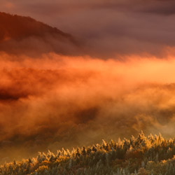 Western Bieszczady, Bieszczady National Park