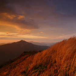 Bieszczady Zachodnie, Bieszczadzki Park Narodowy