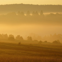 Western Bieszczady, Bieszczady National Park