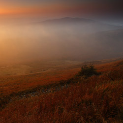 Bieszczady Zachodnie, Bieszczadzki Park Narodowy