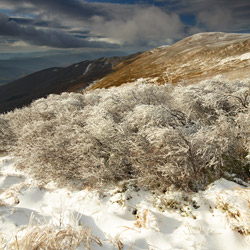 Western Bieszczady, Bieszczady National Park