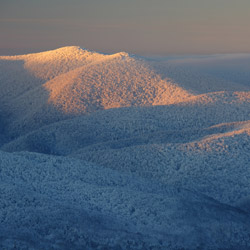 Bieszczady Zachodnie, Bieszczadzki Park Narodowy