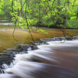 Rzeka Tanew, rezerwat przyrody Nad Tanwią, Park Krajobrazowy Puszczy Solskiej, Roztocze Środkowe