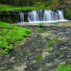 Waterfall on a Jelen Stream, Landscape Park of the Solska Primeval Forest, Central Roztocze