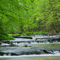 Rzeka Tanew, rezerwat przyrody Nad Tanwią, Park Krajobrazowy Puszczy Solskiej, Roztocze Środkowe