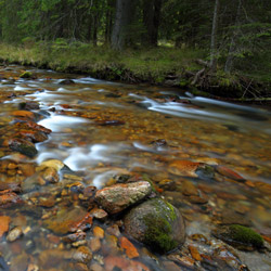 Kościeliski Potok, Tatrzański Park Narodowy, Tatry Zachodnie