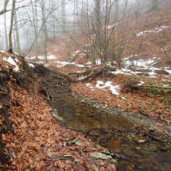 Turnica Stream, Przemysl Foothills Landscape Park, Przemysl Foothills