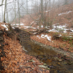 Potok Turnica, Park Krajobrazowy Pogórza Przemyskiego, Pogórze Przemyskie