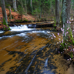 Szum River Nature Reserve, Central Roztocze