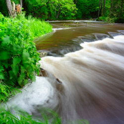 Tanew River Nature Reserve, Landscape Park of the Solska Primeval Forest, Central Roztocze