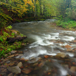 Rzeka Stream, Landscape Park of the San River Valley, Western Bieszczady