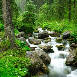 Małołącki Stream, Tatra National Park, Western Tatras