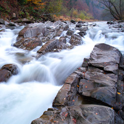 Rezerwat przyrody Sine Wiry, Ciśniańsko-Wetliński Park Krajobrazowy, Bieszczady Zachodnie