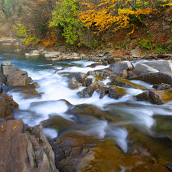 Rezerwat przyrody Sine Wiry, Ciśniańsko-Wetliński Park Krajobrazowy, Bieszczady Zachodnie