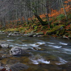 Rezerwat przyrody Sine Wiry, Ciśniańsko-Wetliński Park Krajobrazowy, Bieszczady Zachodnie