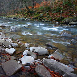 Rezerwat przyrody Sine Wiry, Ciśniańsko-Wetliński Park Krajobrazowy, Bieszczady Zachodnie