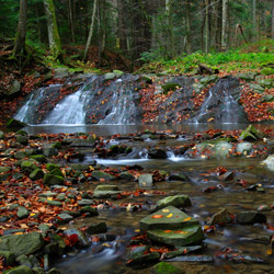 Wodospad na Olchowatym potoku, Ciśniańsko-Wetliński Park Krajobrazowy, Bieszczady Zachodnie