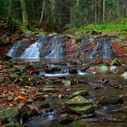 Waterfall on aÂ Olchowaty Stream, Ciśniańsko-Wetliński Landscape Park, Western Bieszczady