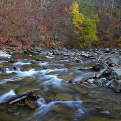 Rezerwat przyrody Sine Wiry, Ciśniańsko-Wetliński Park Krajobrazowy, Bieszczady Zachodnie