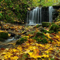 Waterfall on the Brusinka River, South Roztocze Landscape Park