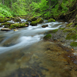 Olczyski Potok, Tatrzański Park Narodowy, Tatry Zachodnie