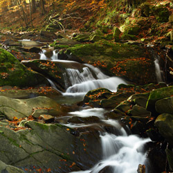 Waterfall on a Hylaty Stream, Landscape Park of the San River Valley, Western Bieszczady