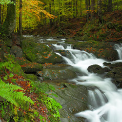Waterfall on a Hylaty Stream, Landscape Park of the San River Valley, Western Bieszczady