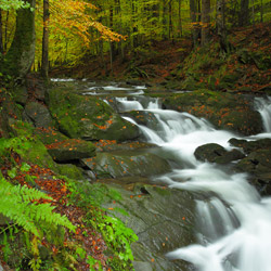 Wodospad na potoku Hylaty, Park Krajobrazowy Doliny Sanu, Bieszczady Zachodnie