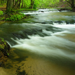 Tanew River Nature Reserve, Landscape Park of the Solska Primeval Forest, Central Roztocze