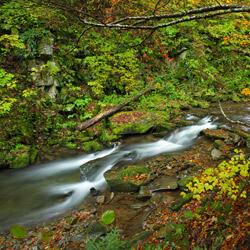 Rzeka Stream, Landscape Park of the San River Valley, Western Bieszczady