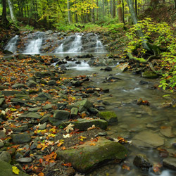 Waterfall on a Olchowaty Stream, Ciśniańsko-Wetliński Landscape Park, Western Bieszczady