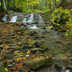 Wodospad na Olchowatym potoku, Ciśniańsko-Wetliński Park Krajobrazowy, Bieszczady Zachodnie