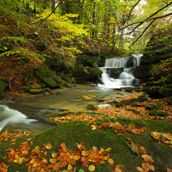 Waterfall on a Hulski Stream, Landscape Park of the San River Valley, Western Bieszczady