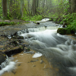 Rzeka Sopot, rezerwat przyrody Czartowe Pole, Park Krajobrazowy Puszczy Solskiej, Roztocze Środkowe