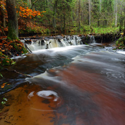 Szum River Nature Reserve, Central Roztocze